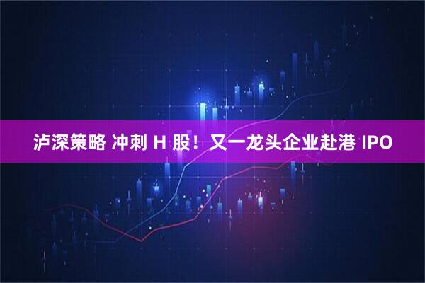 泸深策略 冲刺 H 股！又一龙头企业赴港 IPO